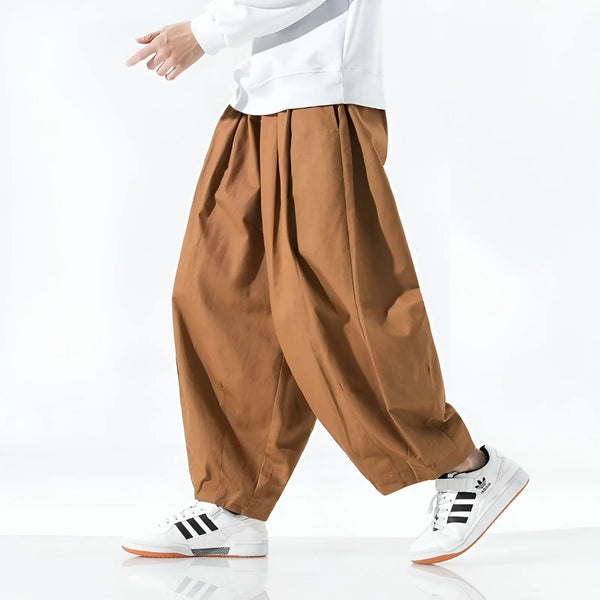 Lyraxs| Elliott Oversized Pleated Cotton Pants